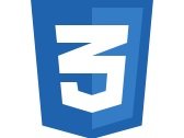 hire css developers